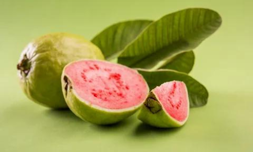 Guava Fruit Has Numerous Health Benefits