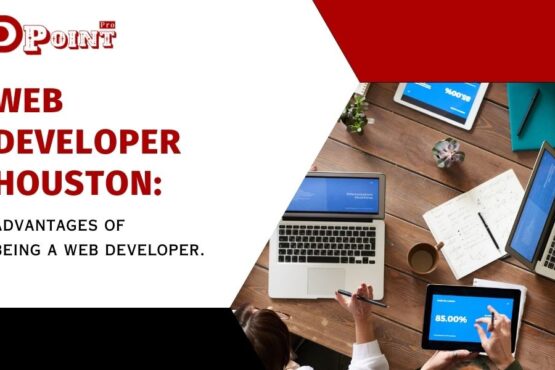 Web developer Houston advantages of being a web developer