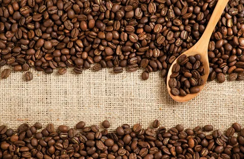 Brewing Excellence: Exploring the Rich Aromas of Coffee Beans in the UAE